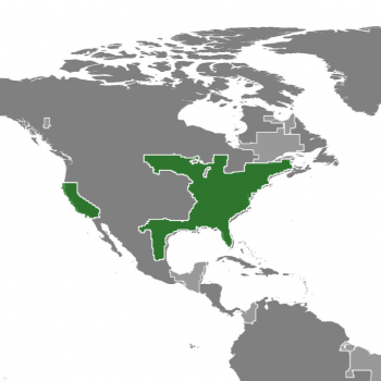 Location of the USA (green) in North America